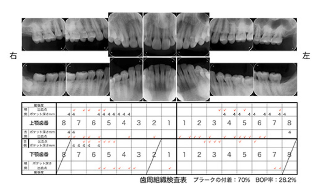 基礎資料の作成